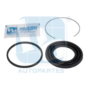 Repuesto De Caliper Delantero Para Pilot *Ho