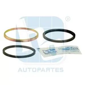 Repuesto De Caliper Para Datsun 720 *HO